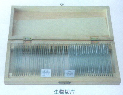 生物切片